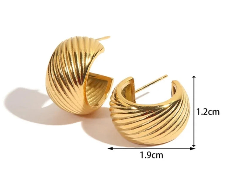 Ridge Hoops Earrings