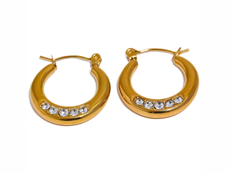 Crystal Curve Earrings