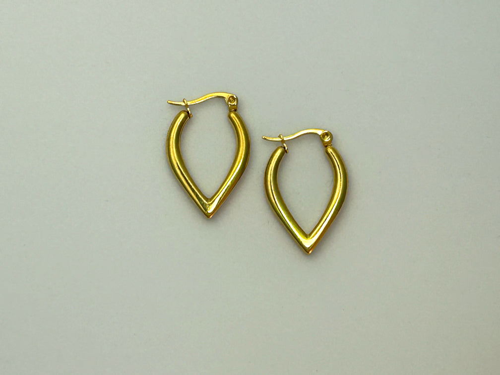 Zoe Hoops