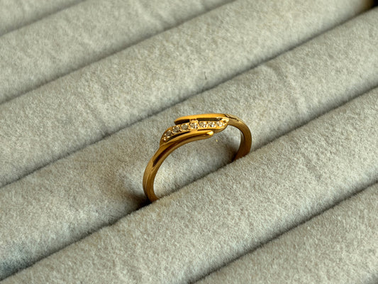 Aris Ring