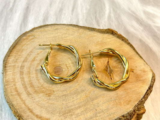 Interlocking Hoops