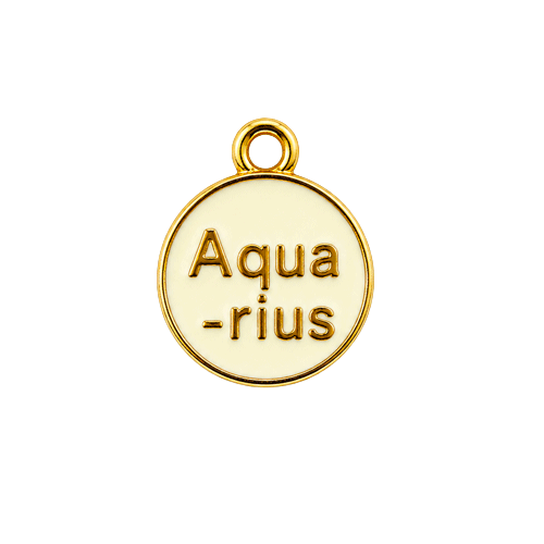 Zodiac Charms