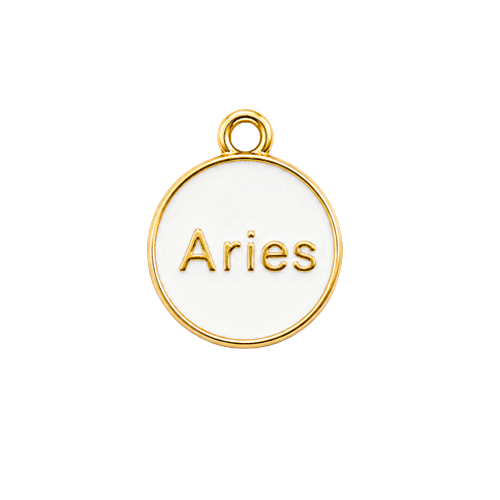 Zodiac Charms