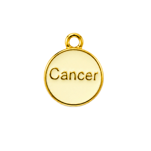 Zodiac Charms
