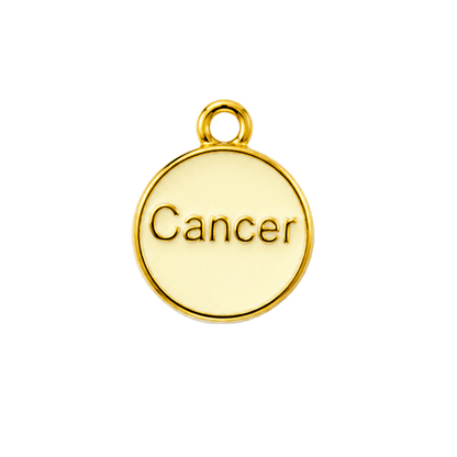 Zodiac Charms