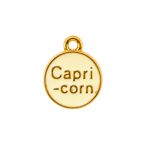 Zodiac Charms