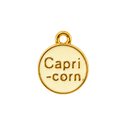 Zodiac Charms