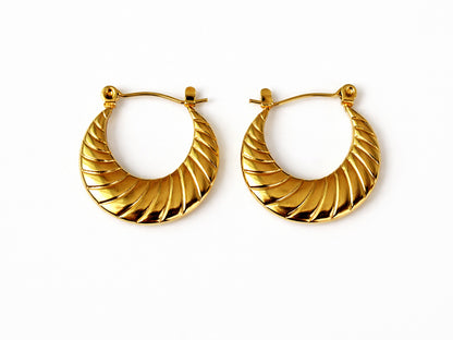Echo Hoops