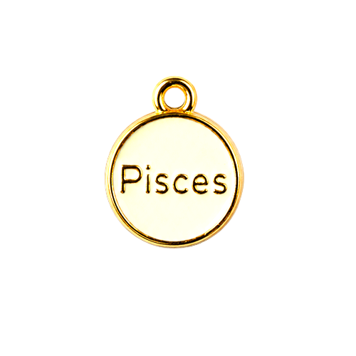 Zodiac Charms