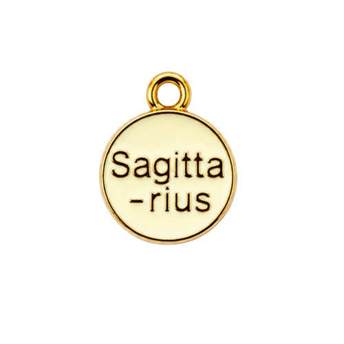 Zodiac Charms