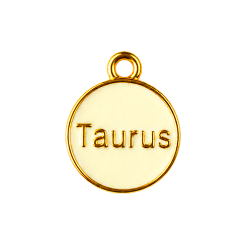Zodiac Charms