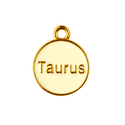 Zodiac Charms